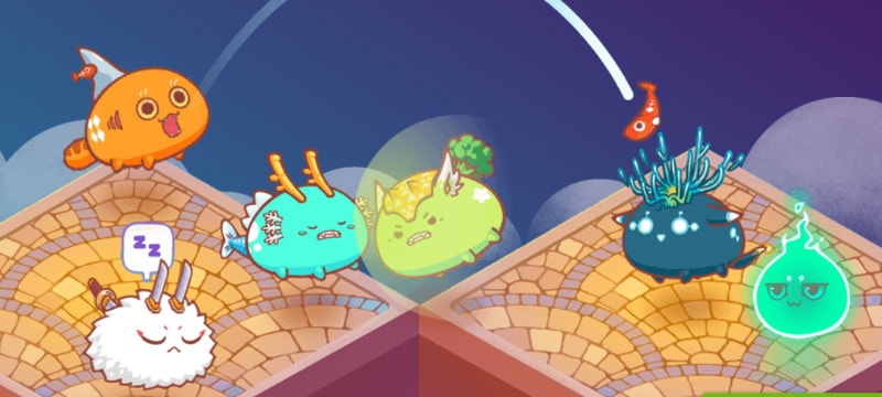 axies battle axie infinity Update 30/6/2020 Loom network doesn't support games anymore in Favor of Healthcare and Travel Industry.