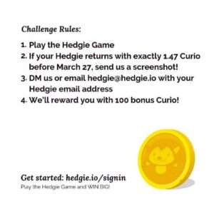 Hedgie contest 1