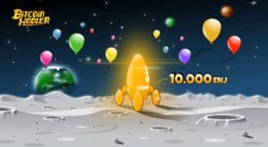 BitcoinHodler BallonTreasureHunt