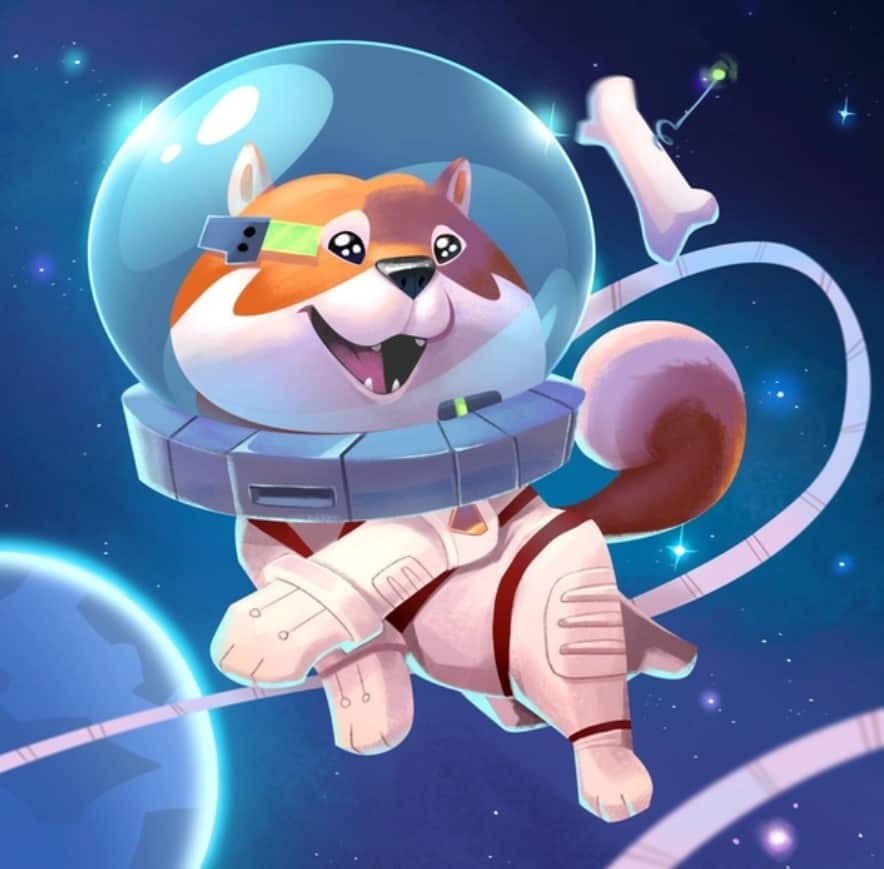 Enjin shiba Here at egamers.io, we have been part of the Enjin community for a long time, following its progress, playing the Multiverse games, and, truth be told, believing in Enjin's vision. 