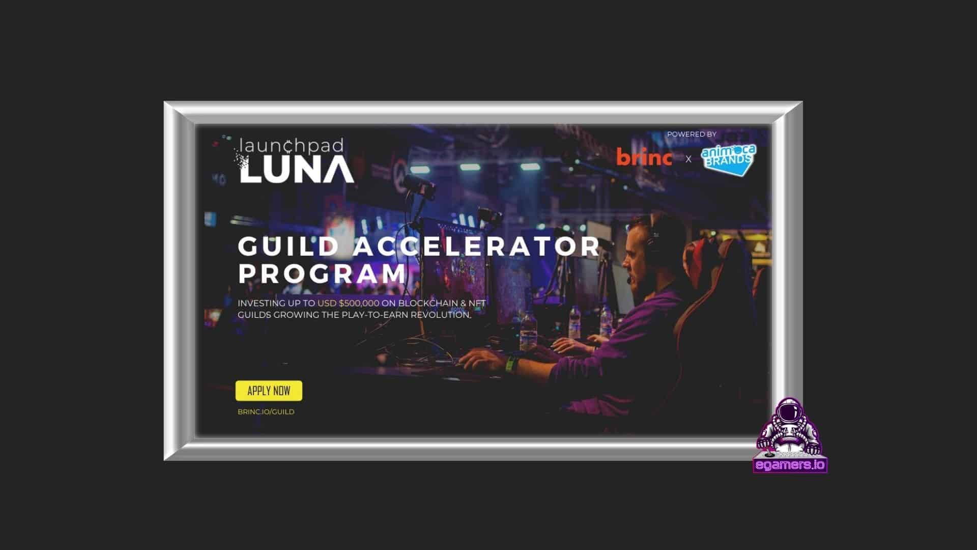 Animoca Brands and Brinc launch new USM Guild Accelerator Program to bolster global play-to-earn guild ecosystem