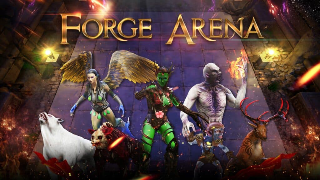 forge arena Dekaron M is a PC MMORPG that was first released in 2004 and published by Nexon. Now, the game is being rebranded as Dekaron G as they plan to bring blockchain features into the game. 