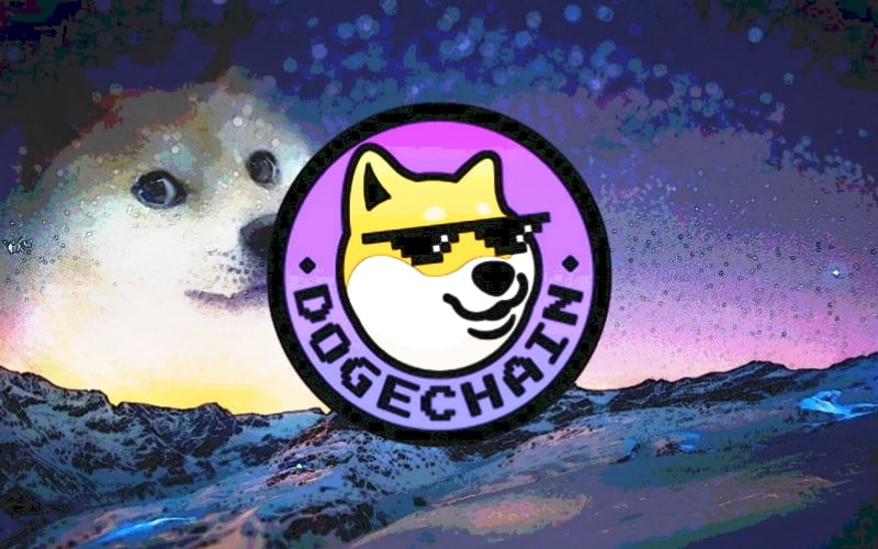 Everything You Need to Know About Dogechain
