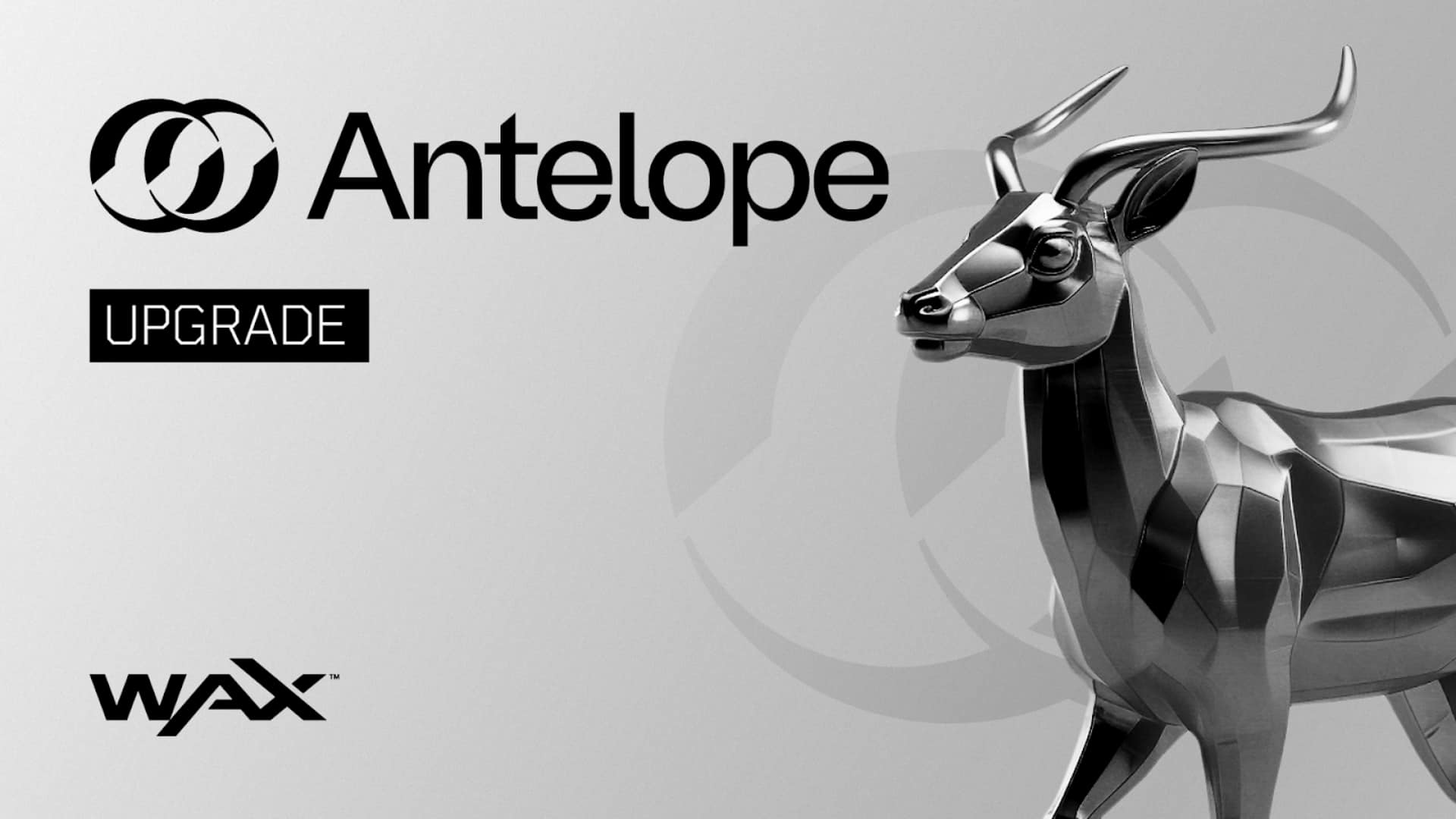 WAX Blockchain Steady Its Journey To Mainstream With The Antelope 3.1 Improve – EGamers.io