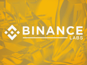 Binance Labs Backs Delphinus Lab to Boost Web3 Zero Knowledge Apps Binance Labs, the incubation branch of Binance, has formally declared its collaboration with Delphinus Lab. The latter recently introduced an innovative open-source tool called zkWASM virtual machine. This tool facilitates trustless computations and application software development kits (SDKs).