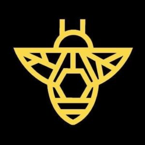 Current logo / icon
