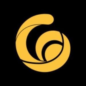 Current logo / icon