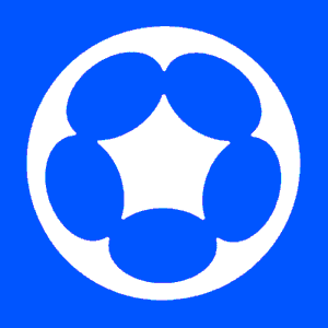 Current logo / icon