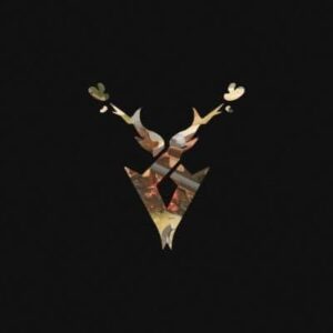 Current logo / icon