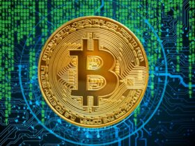 Bitcoin Hits New High as Crypto Market Soars
