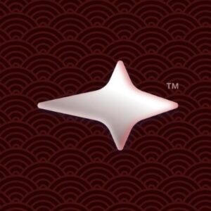 Current logo / icon