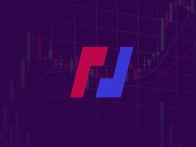 BitMEX Expands Trading Options: Introduces Fee-Free Options Trading and Cash Bonuses