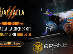 valhalla launches on opbnb mainnet FLOKI has officially announced that its metaverse MMORPG, Valhalla, will go live on the mainnet on June 30. The browser-based blockchain game blends turn-based combat, NFT-powered gameplay, and real-time multiplayer exploration.