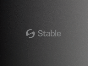 stable Stable, a new blockchain startup focused on improving stablecoin transactions, has raised $28 million in a seed funding round led by Bitfinex and Hack VC.