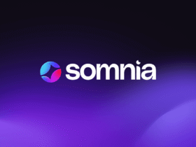 GameFi.org Collaborates with Somnia on Blockchain Gaming