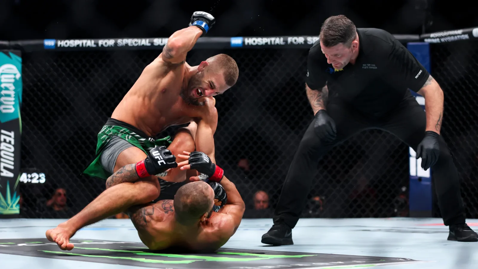 fight id ufc In Brief