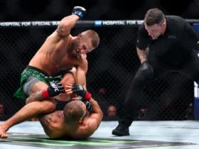 fight id ufc In Brief