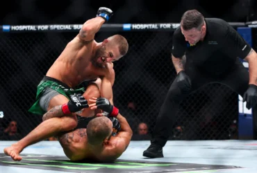 fight id ufc In Brief