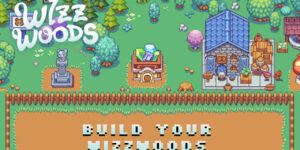 Wizzwoods gallery