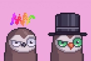 "Moonbirds Announces BIRB Token Launch Date for Early Q1 2026: What to Expect"