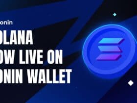 "Ronin Wallet Expands Capabilities with New Solana Support and Cross-Blockchain Features"