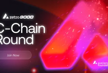"Avalanche Foundation Unveils Retro9000 Cohort 4 for C Programming Innovators"