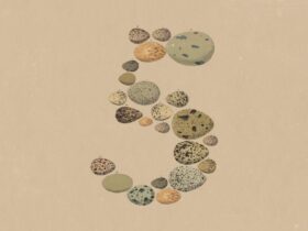 opus 5 lands as a steady upgrade not a shake up and anthropic kept the price flat The number worth dwelling on in Anthropic's Opus 5 announcement isn't a benchmark result. It's $5 per million input tokens and $25 per million output tokens — exactly what the model it replaces already cost.