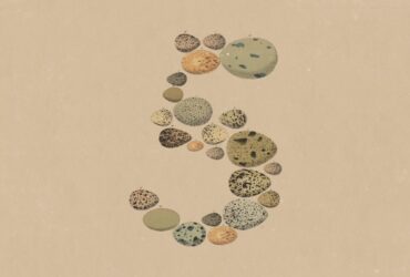 opus 5 lands as a steady upgrade not a shake up and anthropic kept the price flat The number worth dwelling on in Anthropic's Opus 5 announcement isn't a benchmark result. It's $5 per million input tokens and $25 per million output tokens — exactly what the model it replaces already cost.