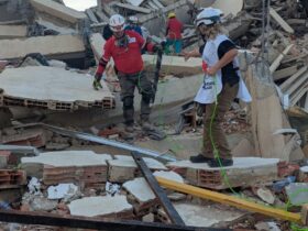 snake robots slithered into venezuelas collapsed buildings they came back with no survivors Camera scanning through the darkness, the robot pushed 15 to 20 feet into the shattered interior of an apartment block in La Guaira, as a father waited nearby, hoping the machine would locate his son. It did not. Either the boy wasn't there or he couldn't be reached. Even so, the man expressed his gratitude to the researchers.