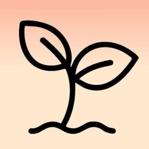 Current logo / icon
