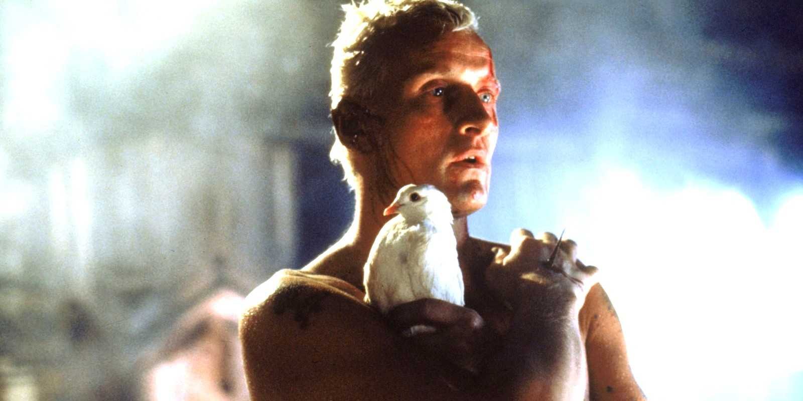 Rutger Hauer as Roy Batty with a bird in Blade Runner.