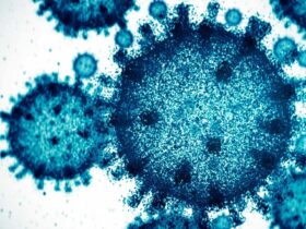 an ai wrote 300 virus genomes from scratch sixteen actually came alive Three hundred synthetic genomes were loaded into E. coli. Sixteen emerged as functioning viruses.