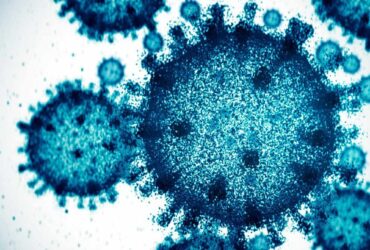 an ai wrote 300 virus genomes from scratch sixteen actually came alive Three hundred synthetic genomes were loaded into E. coli. Sixteen emerged as functioning viruses.