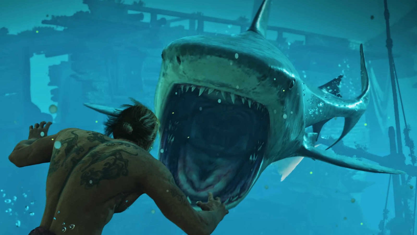 black flag shark