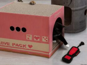 konami turns the cardboard box into cat furniture with one eared uno at catcon 2026 Your cat can now scratch up a cardboard box that carries an official Konami license.