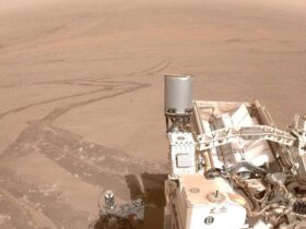 nasas perseverance is about to out drive every rover that ever reached mars Roughly nine out of every ten meters NASA's Perseverance rover has covered on Mars were driven without a single instruction from Earth about where to go. For its predecessor Curiosity, that figure sits at around 10 percent.