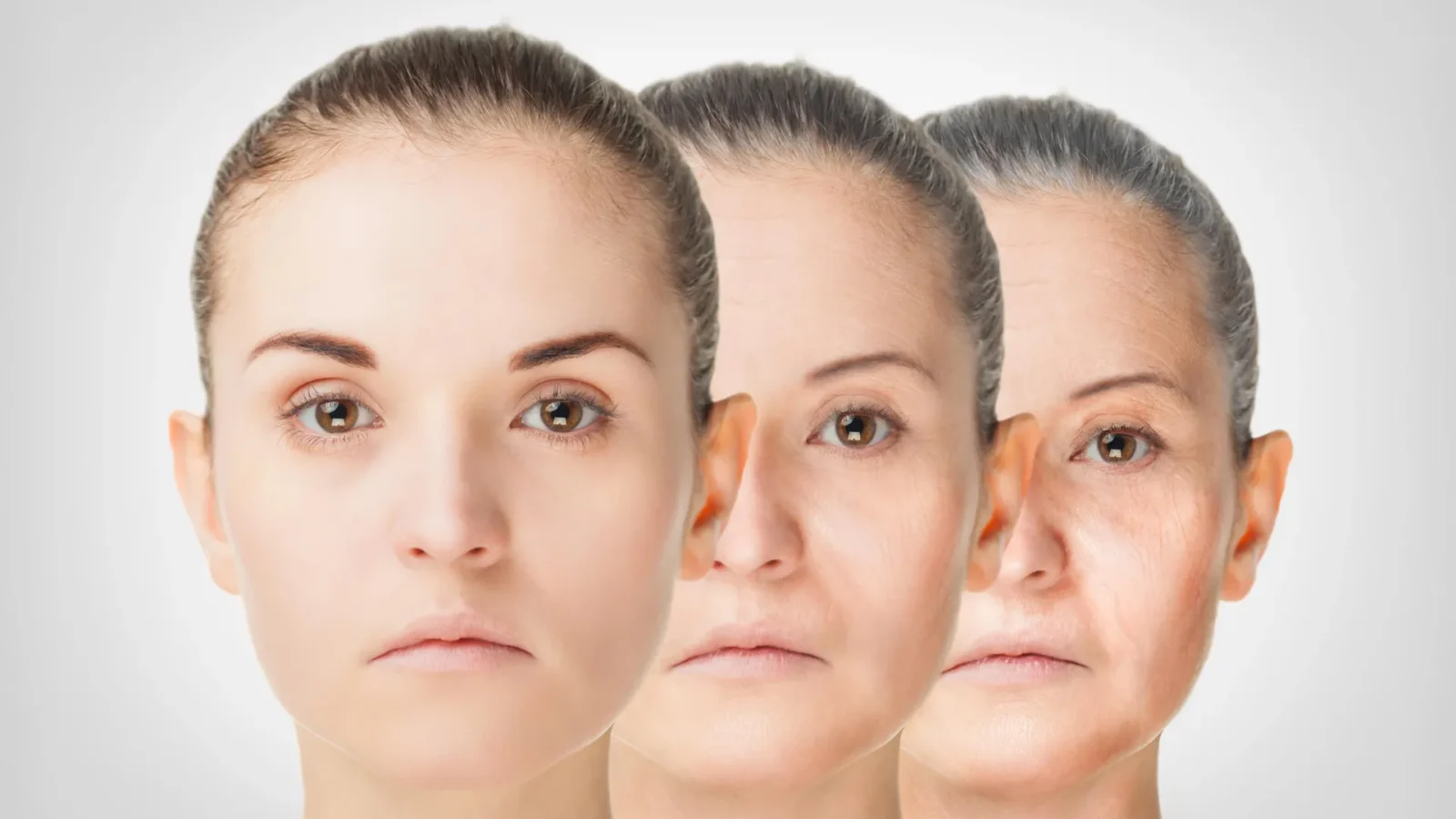 the anti aging benefit of eating less may hinge on one immune protein yale study finds Slash a mouse's food intake by 40% and it might survive longer. It will also become worse at fighting off infections, reproduce less successfully, and grow poorly. Aging researchers have wrestled with that trade-off for decades, and it explains why no credible scientist has ever advised starving your way to your 90s.