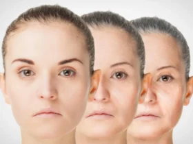 the anti aging benefit of eating less may hinge on one immune protein yale study finds Slash a mouse's food intake by 40% and it might survive longer. It will also become worse at fighting off infections, reproduce less successfully, and grow poorly. Aging researchers have wrestled with that trade-off for decades, and it explains why no credible scientist has ever advised starving your way to your 90s.