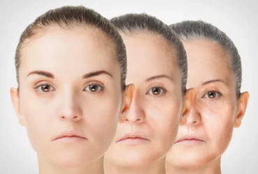 the anti aging benefit of eating less may hinge on one immune protein yale study finds Slash a mouse's food intake by 40% and it might survive longer. It will also become worse at fighting off infections, reproduce less successfully, and grow poorly. Aging researchers have wrestled with that trade-off for decades, and it explains why no credible scientist has ever advised starving your way to your 90s.