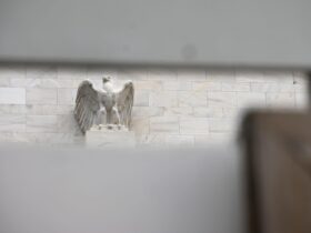 traders slash september fed hike bets as july payrolls turn negative July's employment report was worse than a simple miss. The U.S. economy actually lost jobs, and by Friday morning traders were throwing out everything they thought they knew about the Federal Reserve's next move.