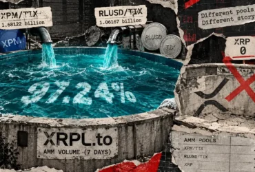 185 trades 2 8 billion in reported volume inside the two new xrpl pools skewing the numbers Two token pools created less than a week ago now make up 97.24% of all automated market maker (AMM) volume on the XRP Ledger over the past seven days. Together, they recorded just 185 trades.