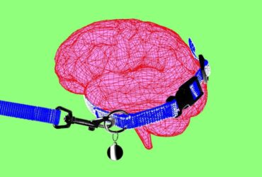 anthropics dario amodei calls for the ai race to ease off the gas Two things have always happened simultaneously at Anthropic: shipping frontier models, and sounding the alarm about them. This week its chief executive put almost all of his weight on the second.