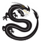 Black Dragon Capital