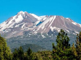 gemini packed them for eight hours the mountain took two days Mount Shasta's turnaround rule says noon. The three young men on it that day stood on the summit at 7pm.