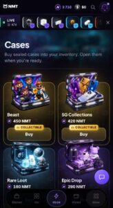 NMT gallery