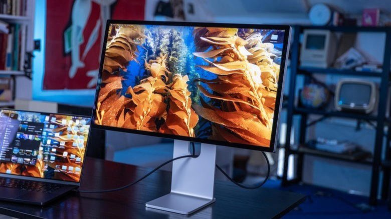 The Apple Studio Display XDR used with a MacBook.
