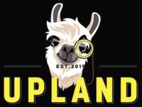 upland shows off early build of uppies roaming player owned properties 1 In Brief: