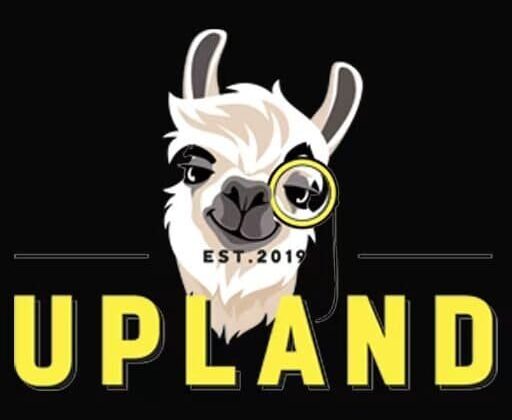 upland shows off early build of uppies roaming player owned properties 1 In Brief: