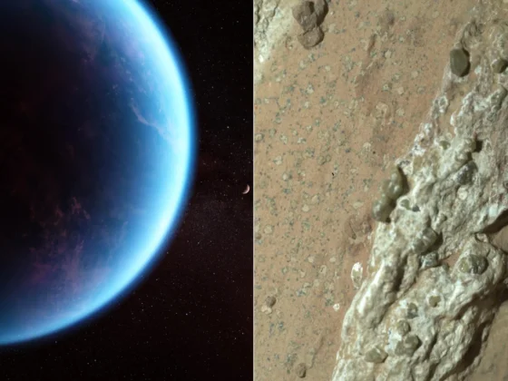 we asked hundreds of astrobiologists if weve found alien life only 6 6 said yes In a survey taken after the K2-18b announcement, just 6.6% of astrobiologists said they believed scientists had probably detected extraterrestrial life. Close to two-thirds rejected the idea entirely.
