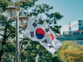 won stablecoins could trim up to 3 8 billion from korean merchants payment bills but the floor is far lower Won-denominated stablecoins could shave somewhere between 370 billion won ($275 million) and 5.15 trillion won off what South Korean merchants pay in annual payment fees each year, according to the National Assembly Budget Office. That is the conclusion. The real story sits in the distance between those two figures.